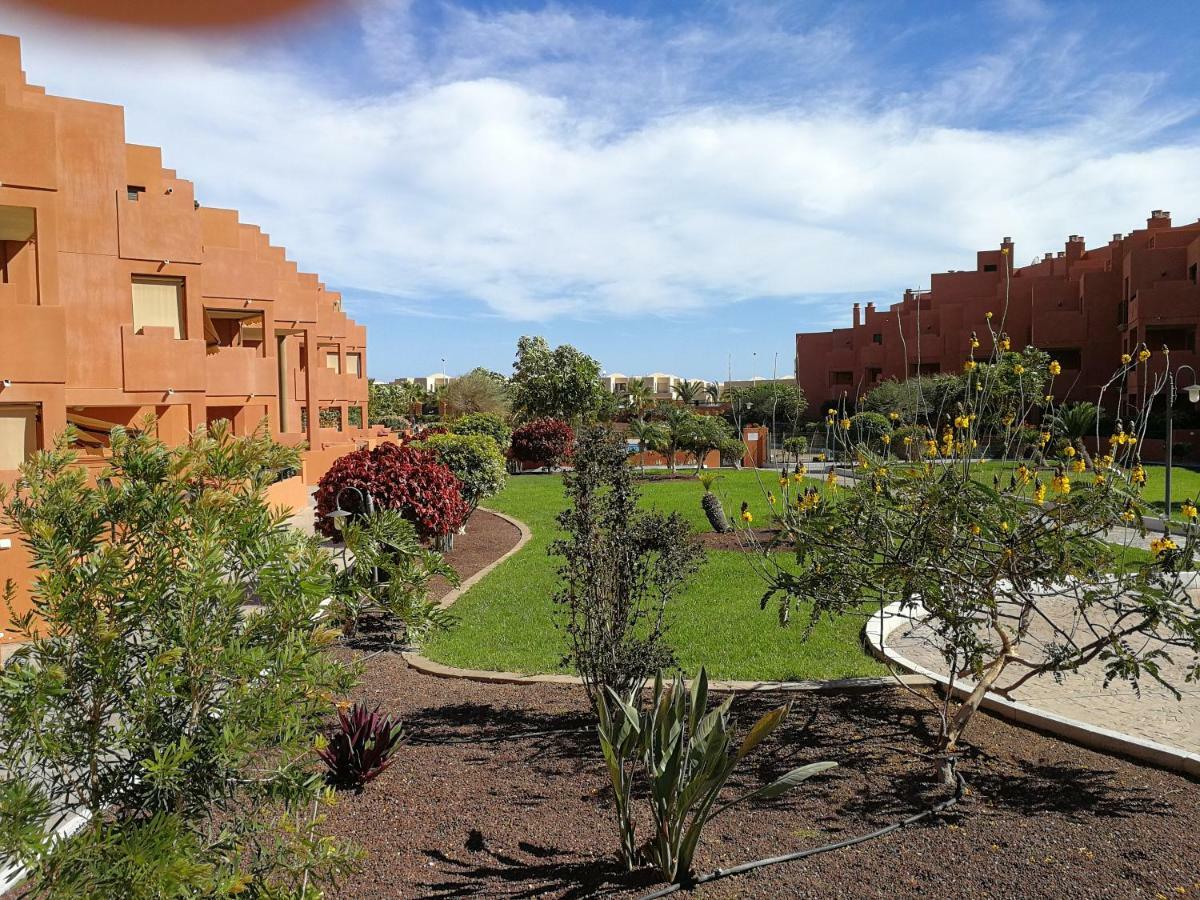 Alquilaencanarias El Medano Sotavento, Great Terrace And Beach Exterior photo